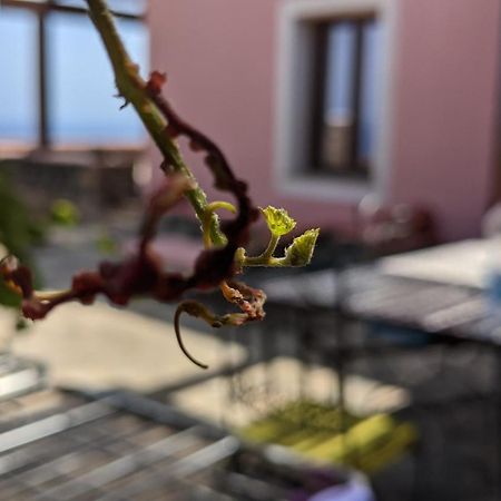 CampobelloHorizon Pantelleria住宿加早餐旅馆 外观 照片