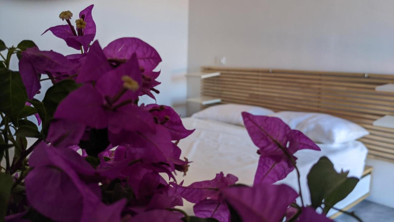 CampobelloHorizon Pantelleria住宿加早餐旅馆 外观 照片